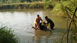 Старозагорският зоопарк се сдоби с нов обитател съобщиха от зоологическата