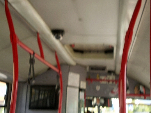 They are watching us!