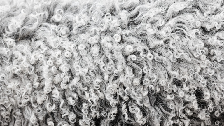 Стоковъди изхвърляли хиляди тонове вълна годишно в реки и дерета