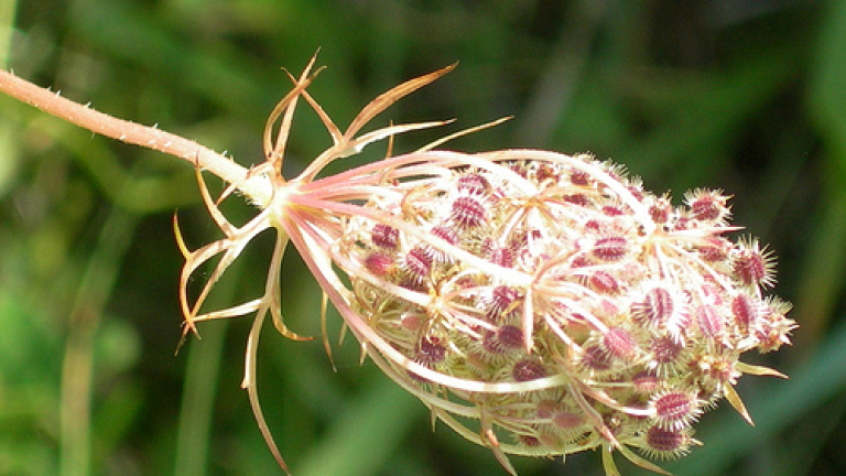 Изображение 218519