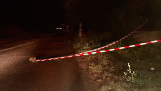 Брат и сестра са намерени заклани в къща в село