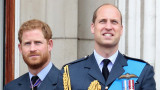  Принц Уилям, принц Хари и тайният съдружник на херцога на Кеймбридж 