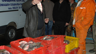 Над 100 кг. незаконен улов иззеха в Поморие