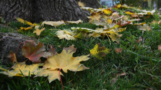 Облачна и ветровита сряда