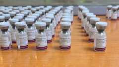 Осуетиха опит за контрабанда на ботулинов токсин на Капитан Андреево