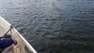 Инспектори откриват въдици и мрежи но не и рибари Това