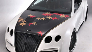 Нова версия на TETSU GTR (галерия)