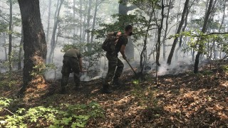 И днес военни се включва в гасенето на пожара в
