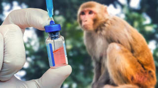 Бурният подем на китайската биотехнологична индустрия доведе до неочакван страничен
