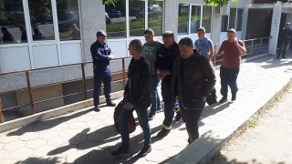 Без корупция в ДАИ, ако взимат процент от глобите като НАП