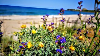 Открива се процедура за възлагане на концесия за морски плаж