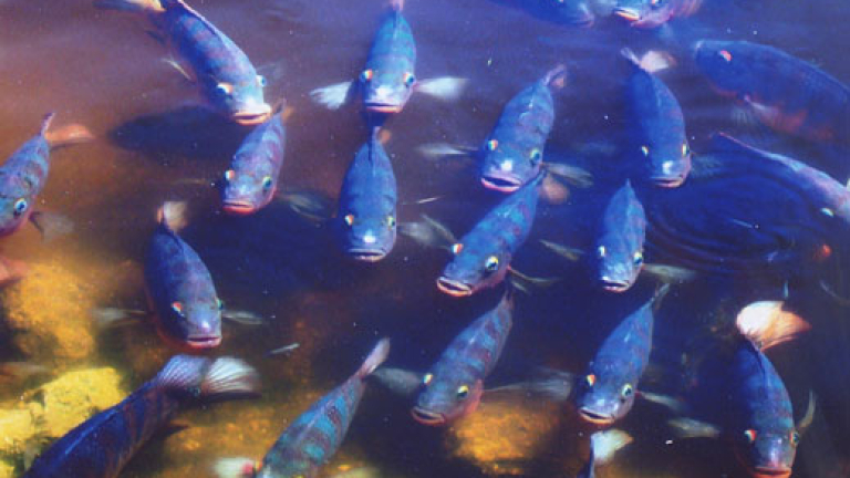 Изображение 53820