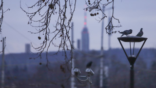 Днес преди обяд ще е предимно облачно на места в