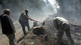 Частни работници запалили гората край Банско?