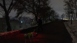 Основните въпроси са Донецка област Луганска област Харковска област Запорожка