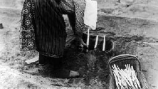 Ще събираме аспержи в Бранденбург