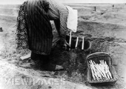 Ще събираме аспержи в Бранденбург