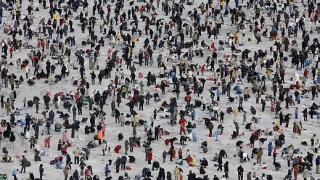 За възпитаните англичани и невъзпитаните хора от континента