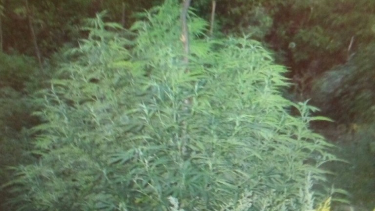 Изображение 306720