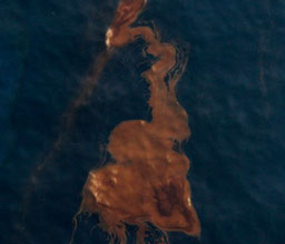 Изтеклият петрол-5 пъти повече от очакваното