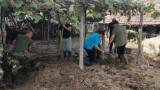  Иван Демерджиев: Има нарушавания при изсичането на гори над наводнените села в Карловско 