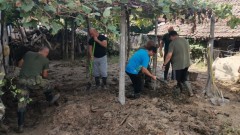 Иван Демерджиев: Има нарушения при изсичането на гори над наводнените села в Карловско