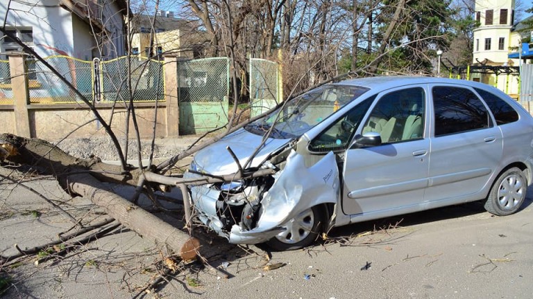 Изображение 338220