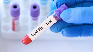 Мексиканският жител идентифициран като заразен с птичи грип A H5N2 в