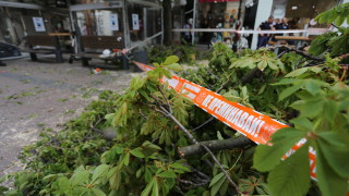 Изсъхнал клон на дърво падна върху дете в градинката до