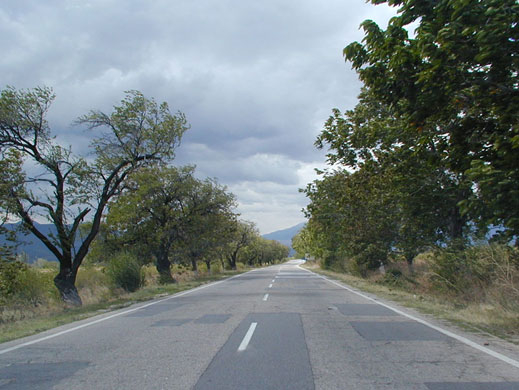 Обраха румънци на пътя край Радомир