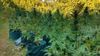 Двама са арестувани след като столични полицаи и граничари намериха