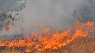 Пожарът в Сакар планина който пламна преди денонощие е локализиран