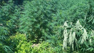 В гориста местност до напоителен канал до главния път София