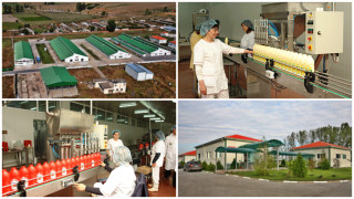 Рубикон една от първите частни консервни фабрики у нас