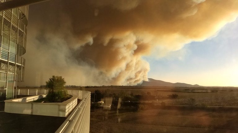 Властите в Италия евакуираха стотици хора заради силен горски пожар