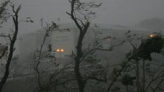 Ураганен вятър изкорени коледната елха в Сливен