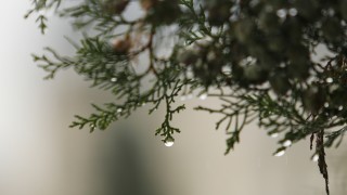 Днес ще е предимно облачно в следобедните часове на места