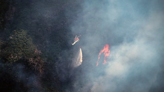 Гори пожар до връх Ком предаде БНТ Пожарът се е разгорял