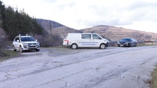 Реших да проверя в Уикипедия каква е трактовката на думата