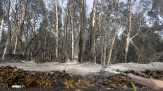 Интензивни горски пожари около гъсто населен район в централната част