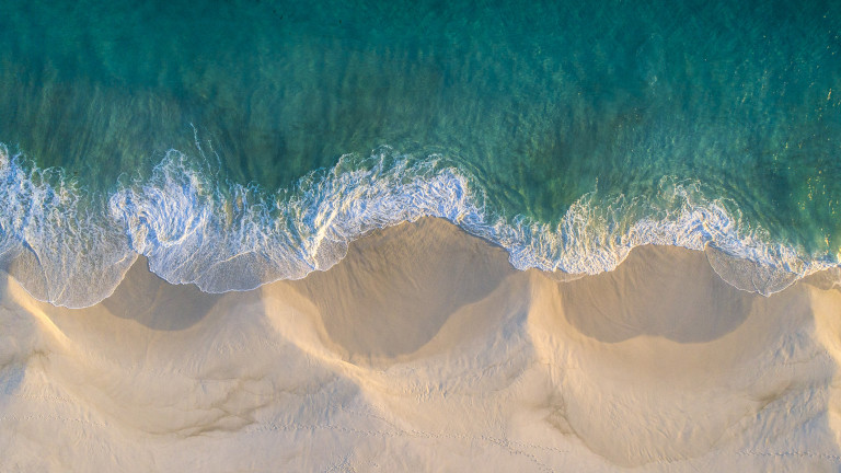 Изображение 723121