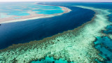 Австралия отделя половин милиард $ за запазване на Големия бариерен риф 