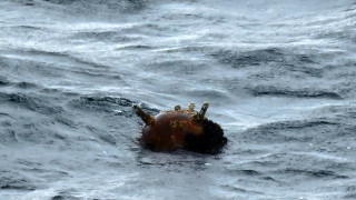 Военноморските сили ВМС са унищожили днес плаваща морска мина открита