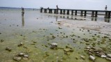  Езерото Гарда в Италия е спаднало до невиждано ниско равнище 