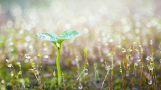 Отново дъжд