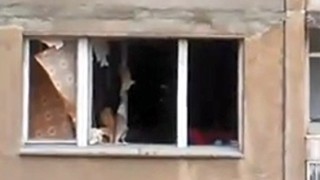 Газова бутилка на автомобил се взриви в Добрич а собственикът