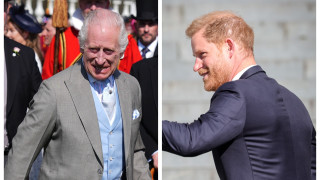 В късния следобед на 8 май принц Хари пристигна в