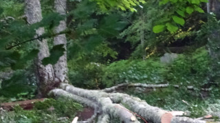 Мощна буря премина през Кюстендил