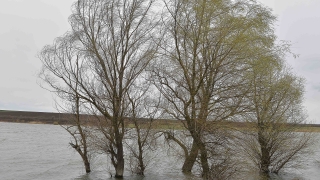 През започналото денонощие ще духа умерен в Източна България и