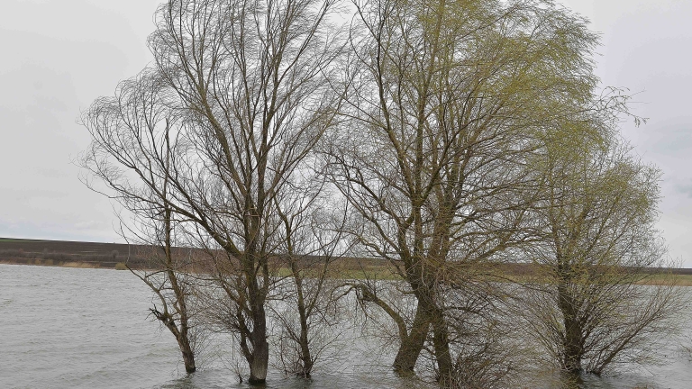 Жълт код в 4 области за валежи и бурен вятър в неделя